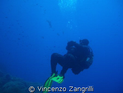 The observer by Vincenzo Zangrilli 
